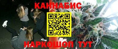 стафф Гусев