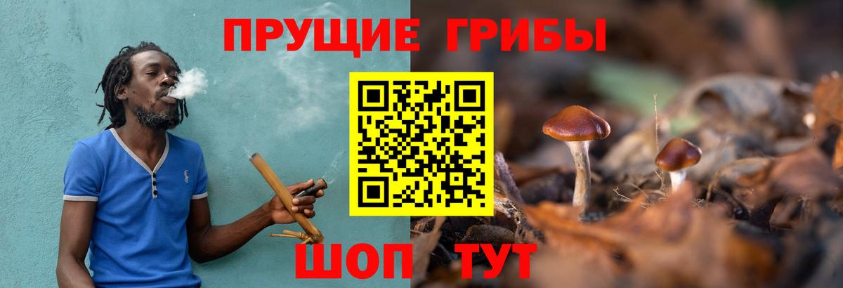 Псилоцибиновые грибы MAGIC MUSHROOMS  Галлюциногенные грибы мухоморы  Вход с VPN  Ипатово 